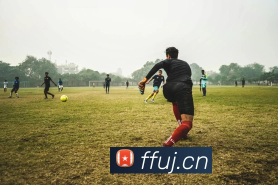 kaiyun体育在线登陆入口发展历程